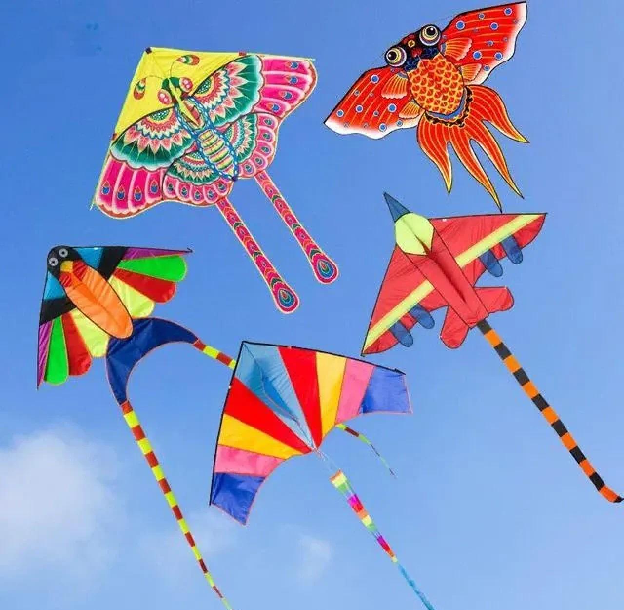 风筝的活力(图1)